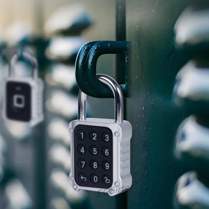 Tuya Bluetooth APP Remote Elec - огляд і ціна Lockbox Key Secure