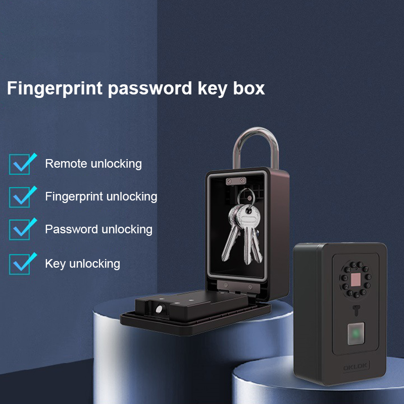 Intelligent Padlock Hang Desig - огляд і ціна Lockbox Key Secure